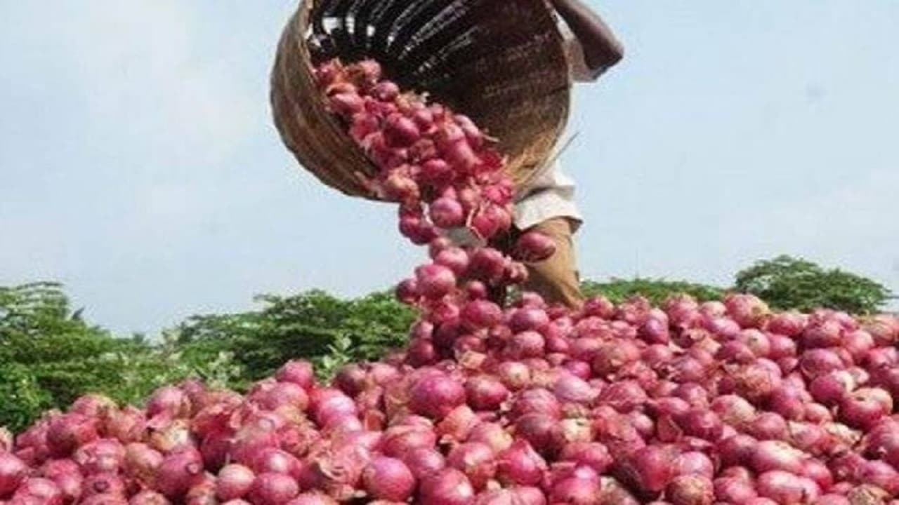Onion price