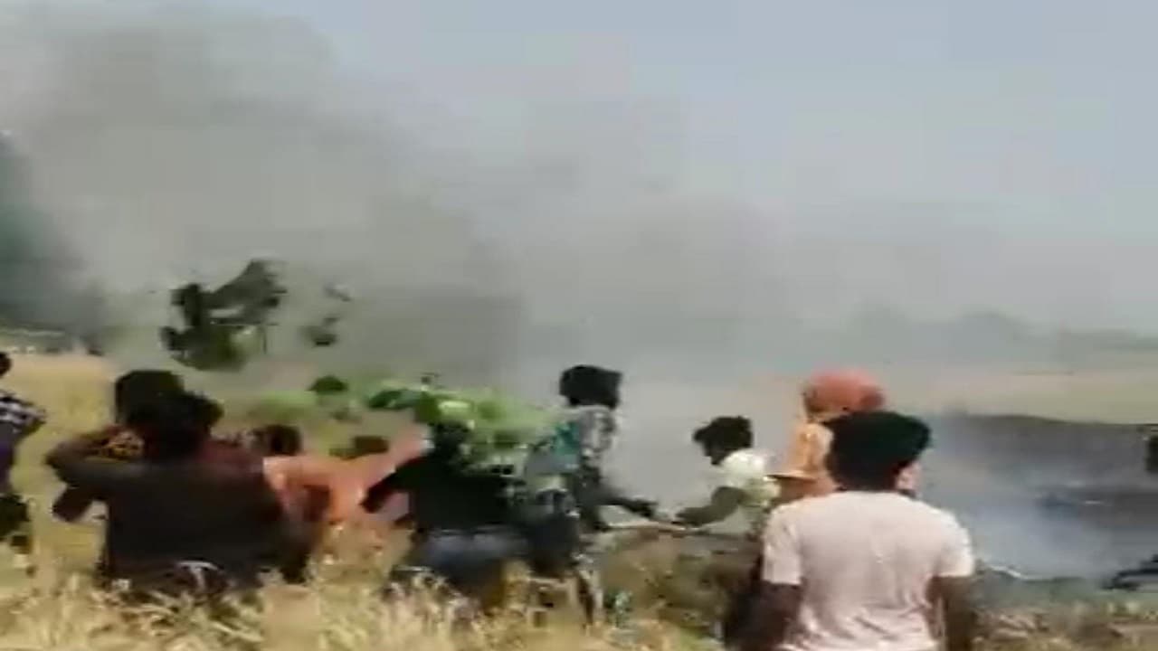 मधेपुरा में दबंगों ने खेत में लगी गेहूं की फसल लूटी, केस दर्ज