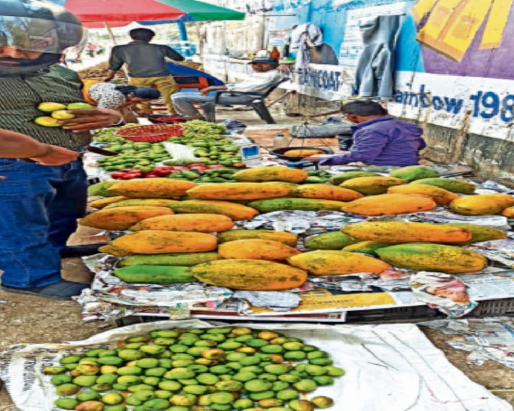 खाली पेट पपीता खाने से नियंत्रित होता है ब्लड प्रेशर, जमशेदपुर के बाजारों में इन दिनों है भारी डिमांड