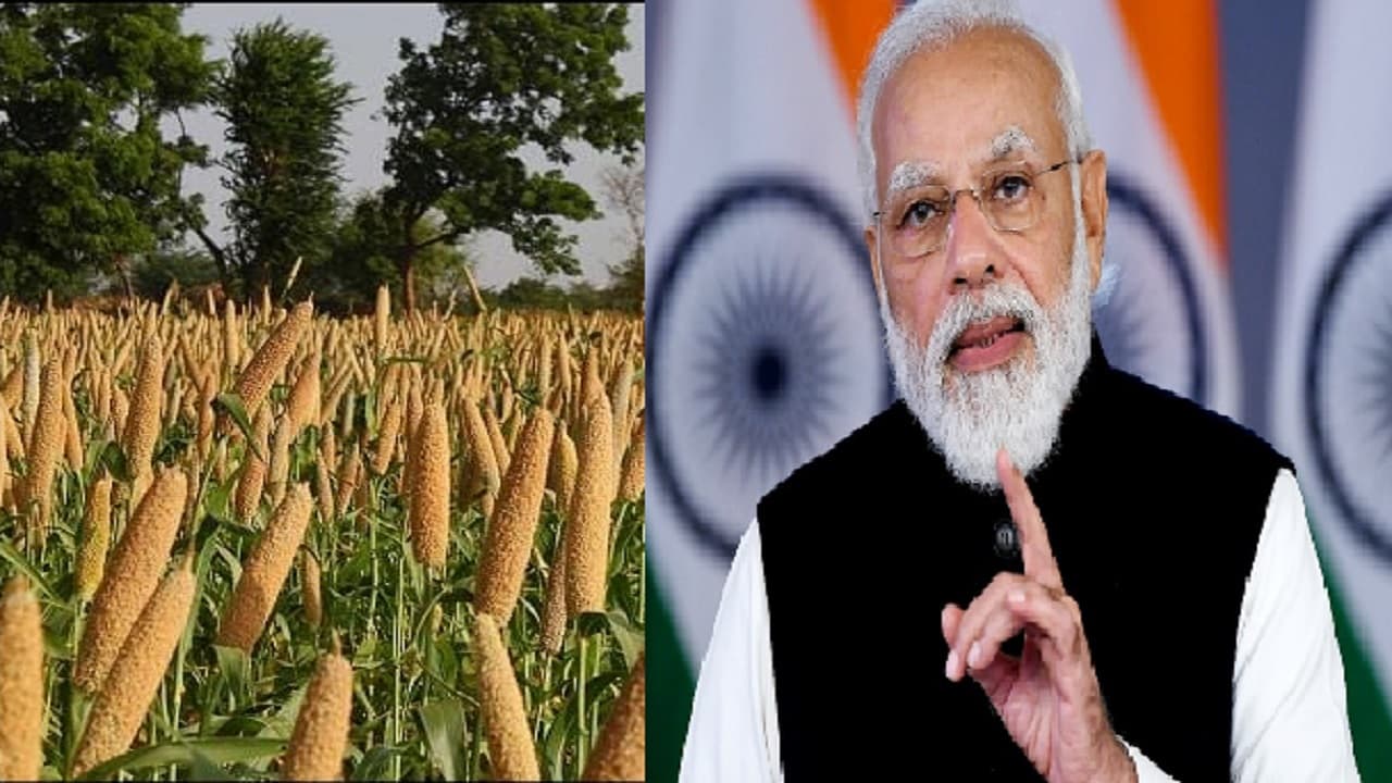 Millet Food Festival: पीएम मोदी ने बाजरे को क्यों बताया 'सुपर फूड', जानिए इसके फायदे