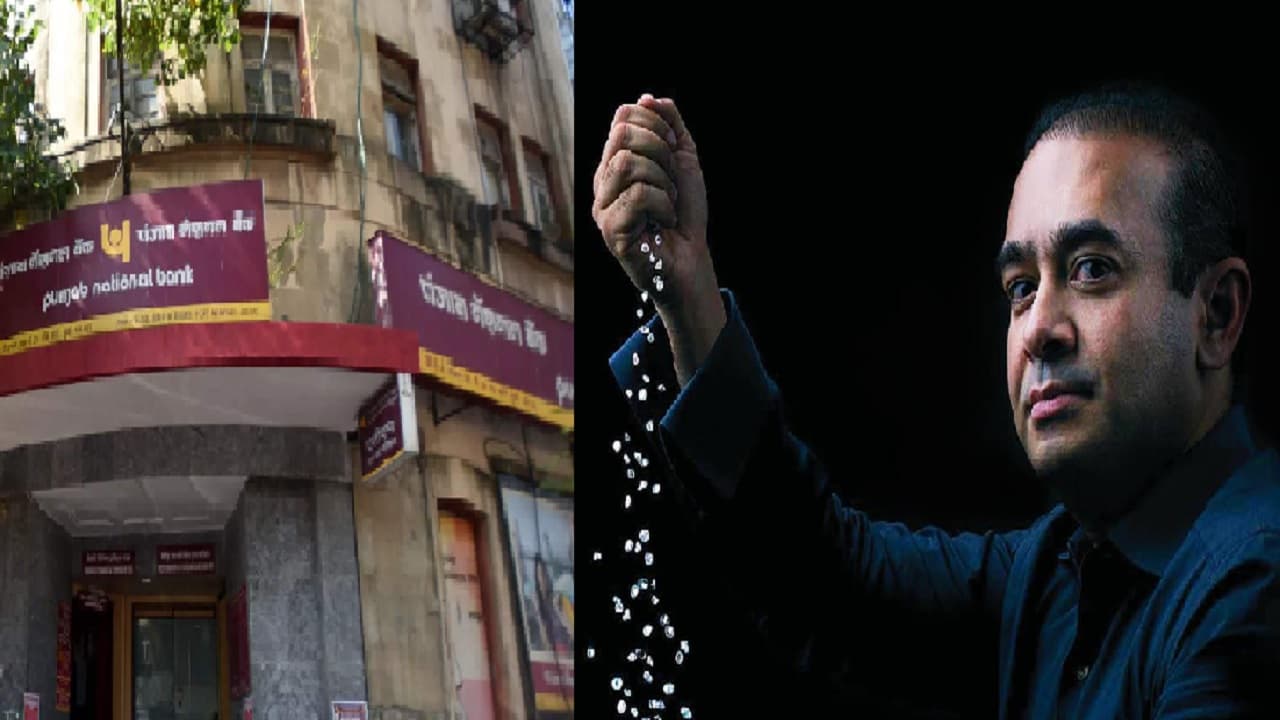 नीरव मोदी को बड़ा झटका : जब्त संपत्ति को बेचकर घोटाले की रकम वसूलेगा पंजाब नेशनल बैंक