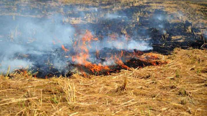 सिवान में पुआल जलाने व धूलकण के चलते जहरीली हुई हवा, AQI पहुंचा 300 के पार