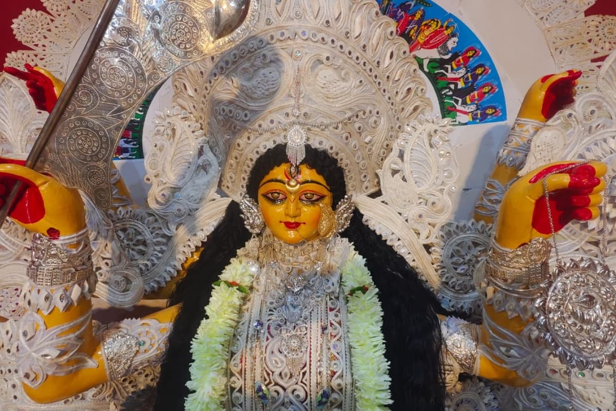 सप्तमी की सुबह पलामू में खुले दुर्गा पूजा पंडालों के पट, तस्वीरों में देखें मां का भव्य रूप