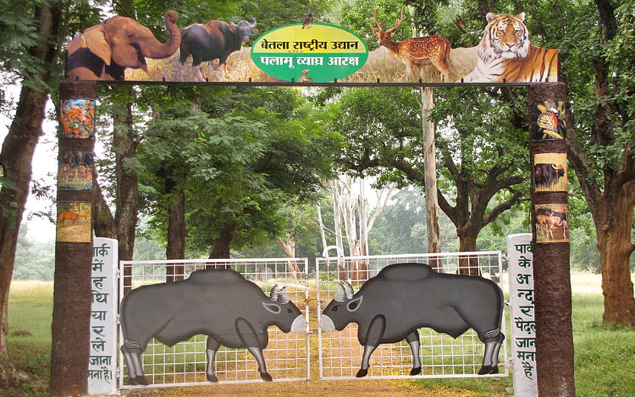 Jharkhand News: पलामू टाइगर रिजर्व के 8 गांवों को फिर से बसाया जाएगा, NTCA को भेजा प्रस्ताव