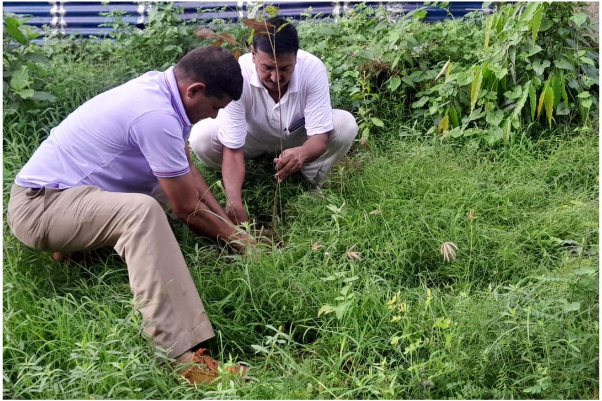 Photos : आरपीएफ के स्थापना दिवस पर पानागढ़ में एकता दौड़, मौके पर योग सत्र के साथ पौधे भी रोपे गये