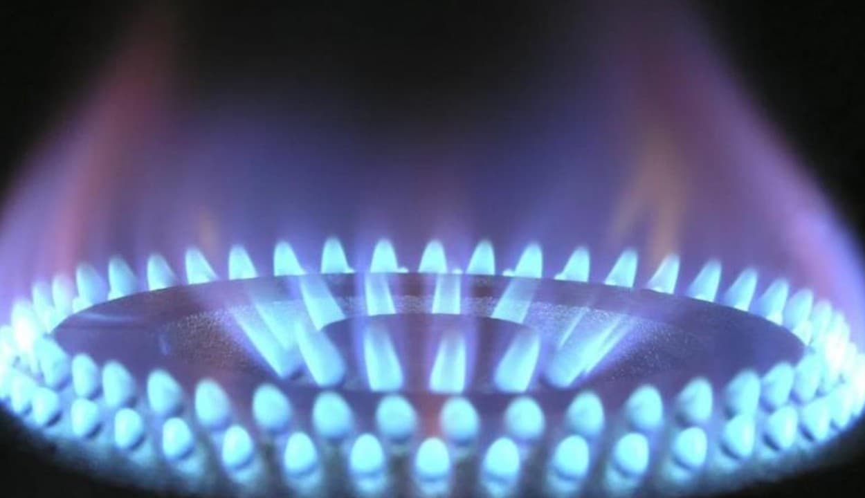 PNG News : पीएनजी कंज्यूमर्स को हर महीने 25 फीसदी रकम की हो सकती बचत, जानिए कैसे?