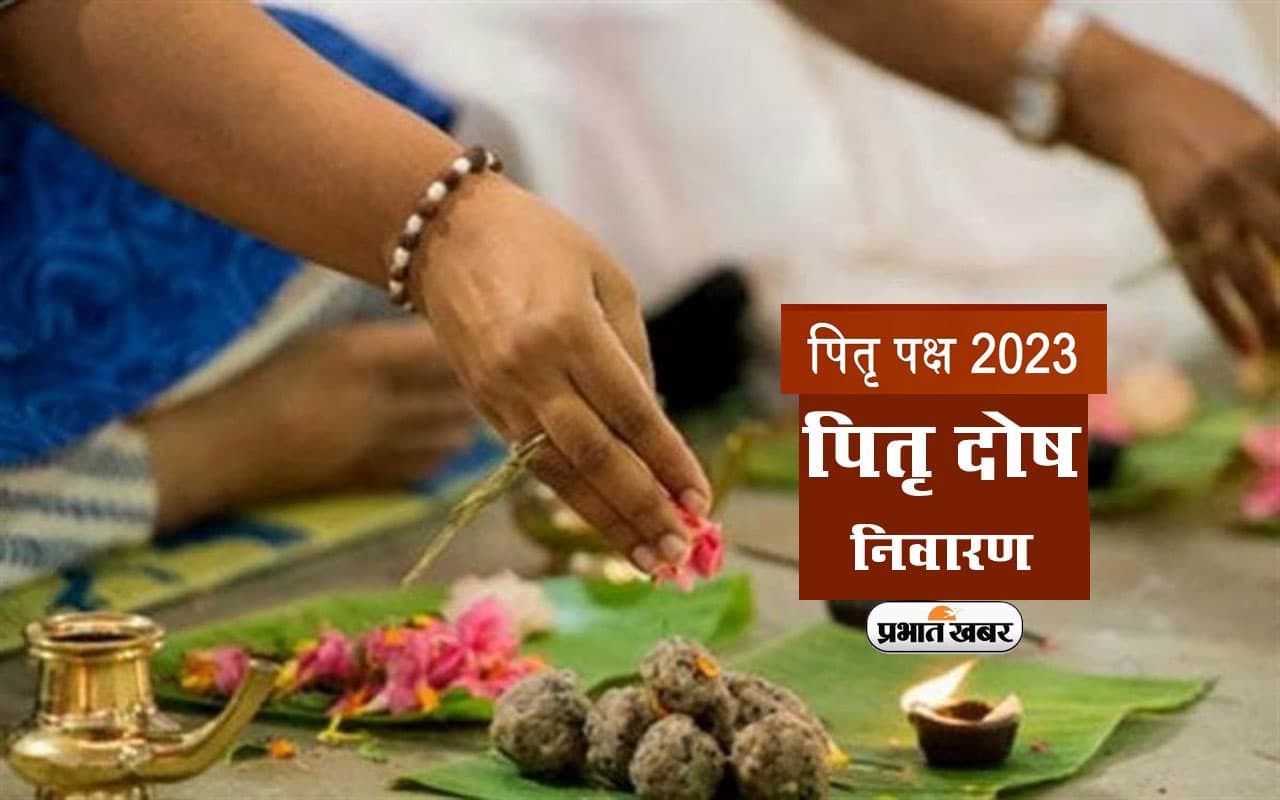 Pitru Paksha 2023: पितृदोष निवारण के लिए करें जरूर करें नारायण नागबलि, जानें क्यों की जाती है यह पूजा Pitru Paksha 2023: पितृदोष निवारण के लिए करें जरूर करें नारायण नागबलि, जानें क्यों की जाती है यह पूजा