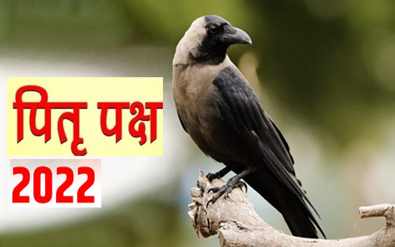 Pitru Paksha 2022: पितृ पक्ष में इन जीवों को कराएं भोजन, मिलता है आशीर्वाद