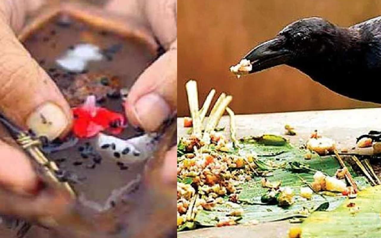 Pitru Paksha 2022: पितृ पक्ष 10 सितंबर से, जानें तर्पण विधि, श्राद्ध पूजा सामग्री, महत्वपूर्ण तिथियां