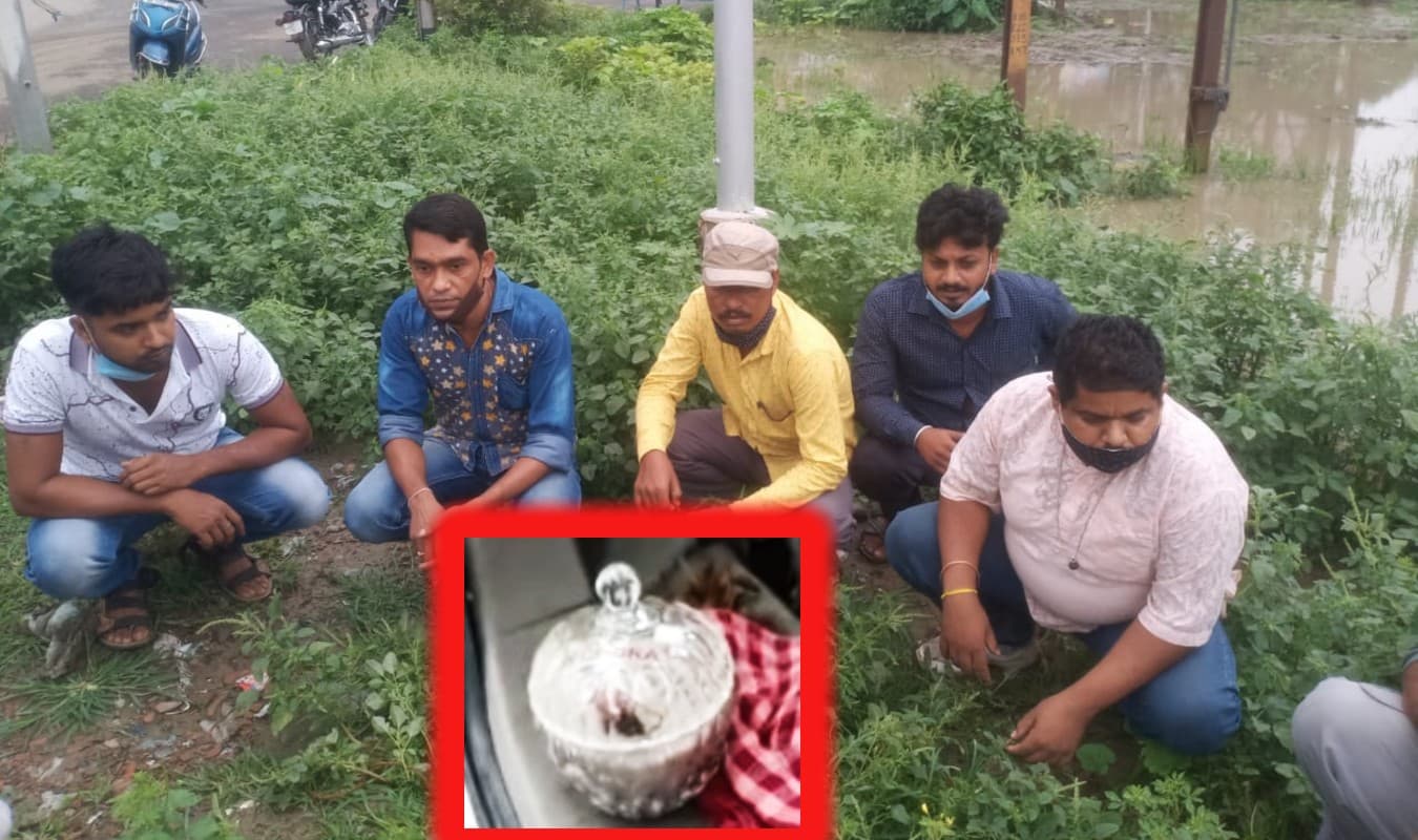 बंगाल में किंग कोबरा के जहर के साथ 5 गिरफ्तार, आर्मी इंटेलिजेंस ने कांचरापाड़ा में दबोचा