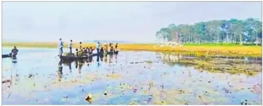 बिहार चुनाव 2020: 31 साल से विकास को तरस रहा एशिया का प्रसिद्ध कावर झील, न टाल बना, न पक्षी विहार और न ही चुनावी मुद्दा