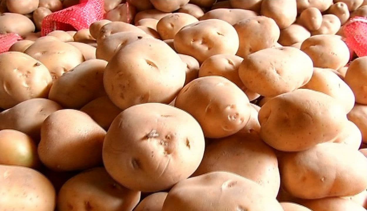 Onion-Potato Price : रसोई से गायब होती जा रही है बच्चों की सबसे प्यारी सब्जी, एक किलो खरीदने में मम्मी-पापा के छूट रहे पसीने