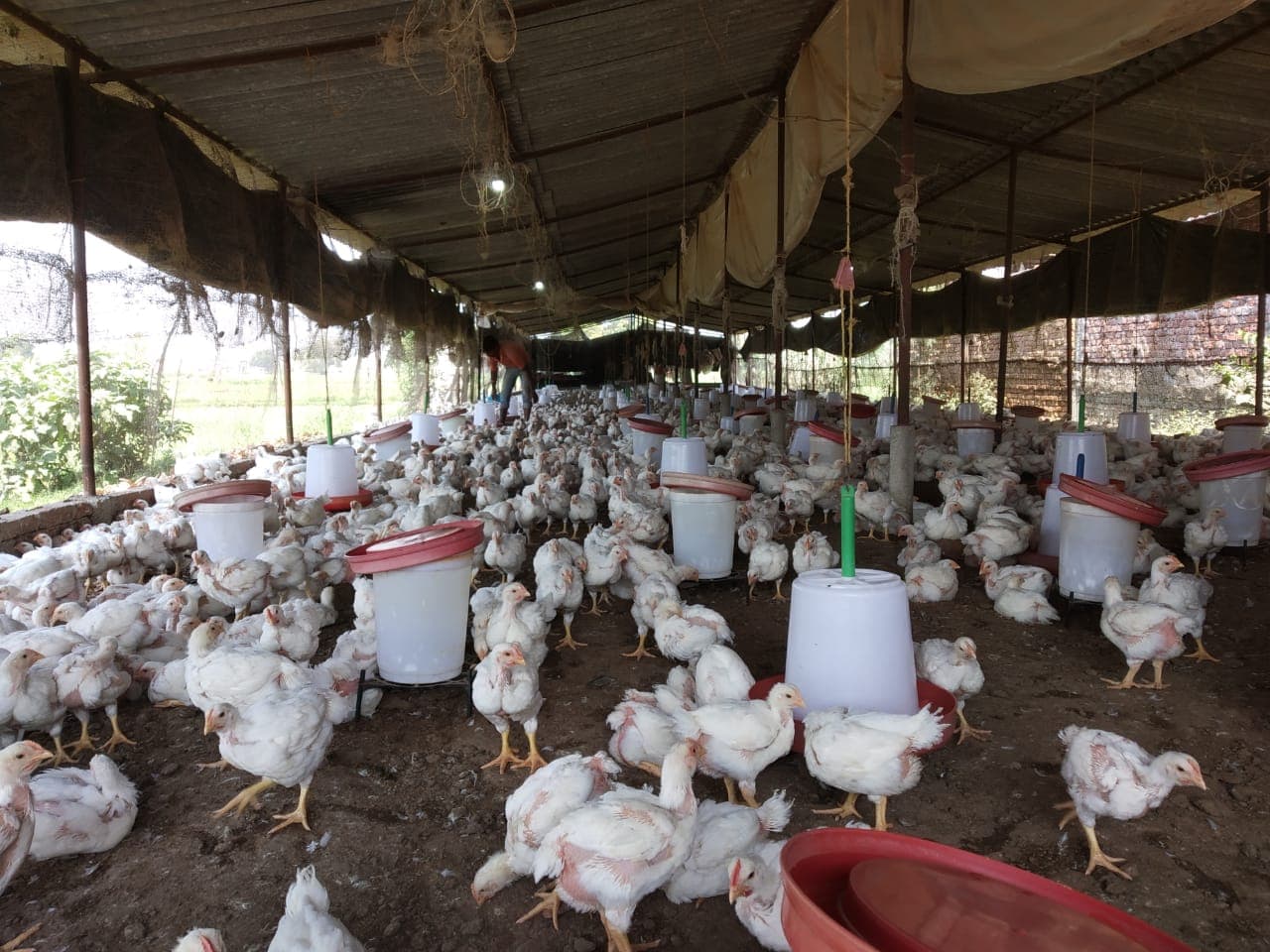 Coronavirus Lockdown Jharkhand LIVE: मुंबई में फंसे झारखंड के 300 युवकों ने मुख्यमंत्री हेमंत सोरेन, सांसद व विधायक से लगायी वापसी में मदद की गुहार