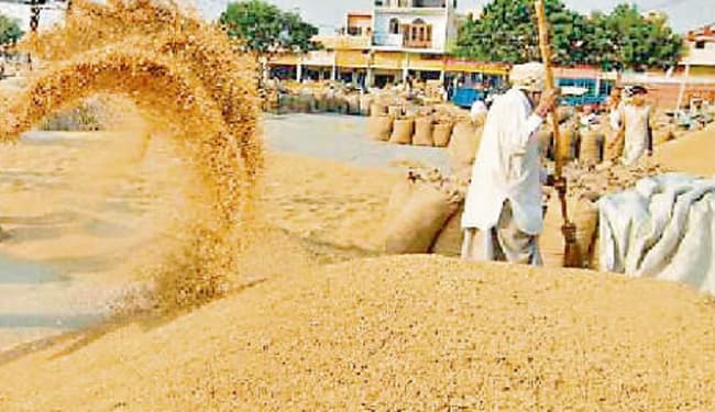 MP के किसानों से उच्चतम बाजार मूल्य पर धान खरीदी का मामला : किसानों को मिलने लगा नये कृषि कानून का लाभ : नरेंद्र सिंह तोमर