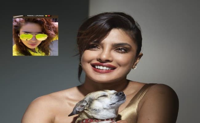 Birthday से ठीक पहले Priyanka Chopra ने शेयर की ‘यलो कलर’ की टी-शर्ट में अपनी तसवीर, एक्ट्रेस लग रहीं कमाल