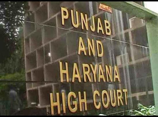 अगर एक बार व्यस्क अपना जीवन साथी चुन ले तो उन्हें रोकने का अधिकार किसी के पास नहीं है: पंजाब हरियाणा HC