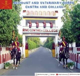 Admission News: स्पोर्ट्स घुड़सवारी के लिये रिमाउंट वेटरनरी कोर सेंटर मेरठ में चयन रैली 01 नवंबर से