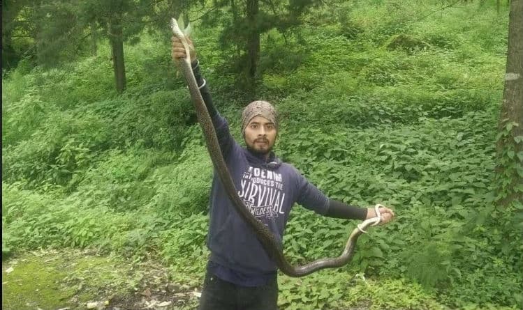 सांप कितना भी खतरनाक हो पकड़ ही लेते हैं दानू,वन विभाग ने बुलाकर दी नौकरी