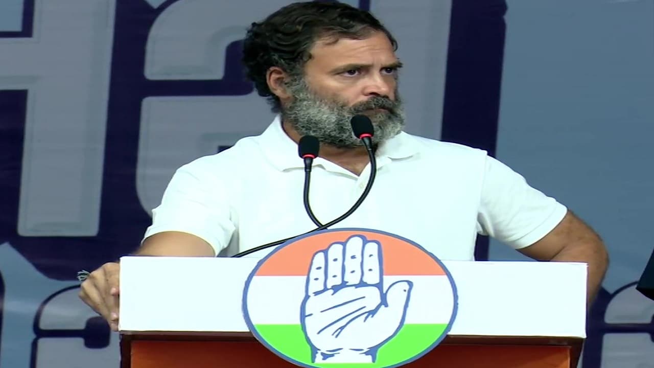 गुजरात चुनाव: मोरबी हादसे पर राहुल गांधी ने बीजेपी को घेरा, कहा- दोषियों के खिलाफ क्यों नहीं हुई कार्रवाई