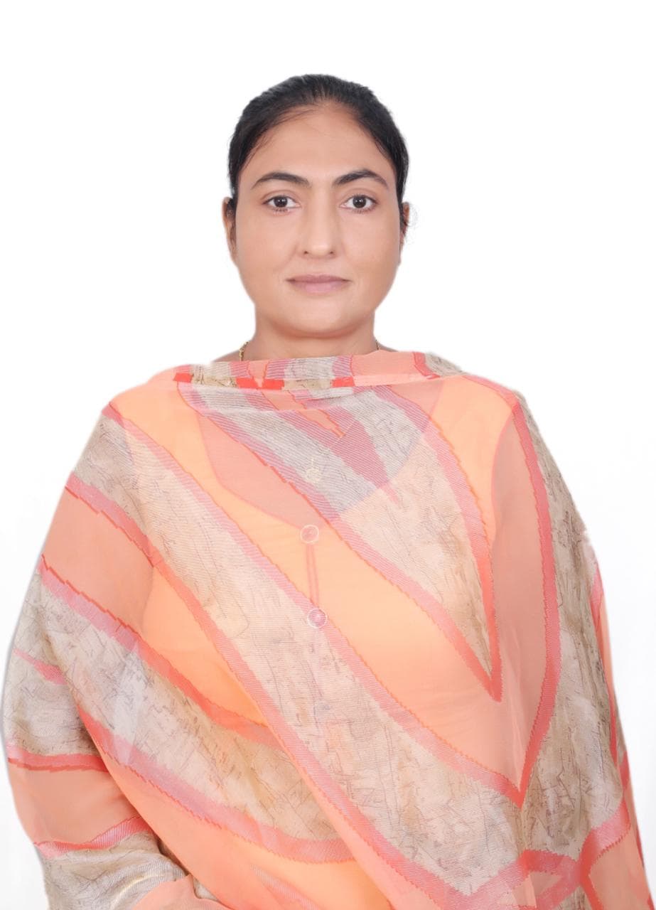 Budget 2021 चमड़ा उद्योग के लिए है विनाशकारी : AAP