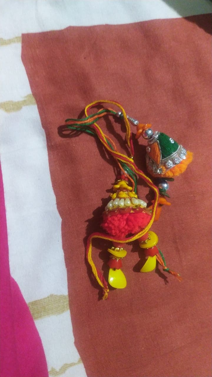 Raksha Bandhan 2021 : इस रक्षाबंधन कलाई पर सजेंगी गोबर व बीज से बनी राखियां, जानिए और क्या है खास