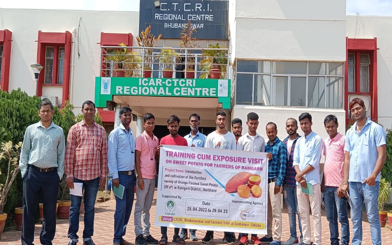 झारखंड : रामगढ़ के किसानों को शकरकंद की नयी किस्म की मिली जानकारी, भुवनेश्वर में लिया प्रशिक्षण