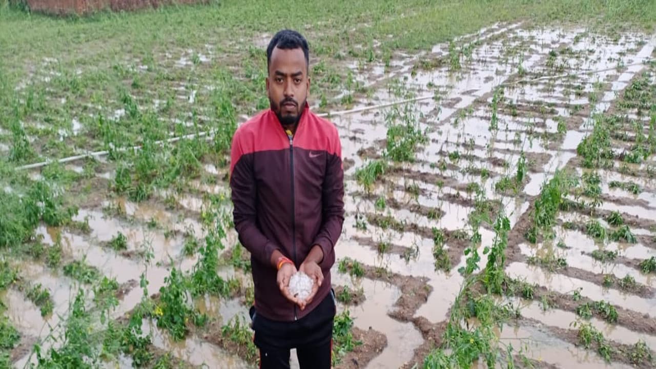 Jharkhand Weather News: रजरप्पा क्षेत्र में भी आंधी-तूफान और बारिश के साथ ओलावृष्टि, फसलों को हुआ नुकसान