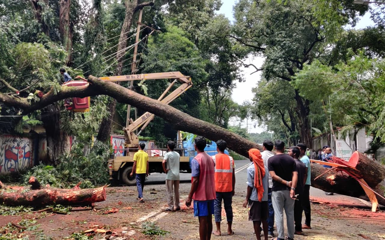 बारिश के बाद राजधानी रांची में बदले गए 15 खराब ट्रांसफार्मर, कई इलाकों में बिजली की आंखमिचौली रही जारी