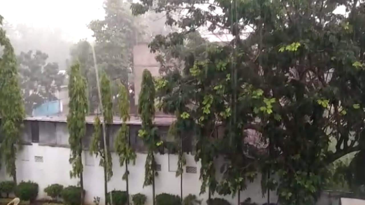 Cyclone Yaas In Jharkhand : राजधानी रांची समेत कई जगहों पर लगातार हो रही बारिश, तेज हवा के कारण बिजली भी रही गुल