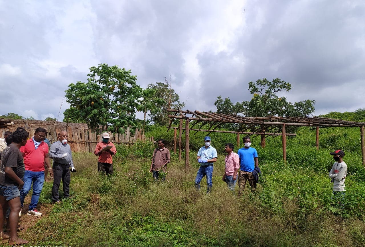 गांव नहीं है झारखंड के सारंडा जंगल में बसा ‘रांगरिंग’, रोचक है इस गांव के बसने का इतिहास