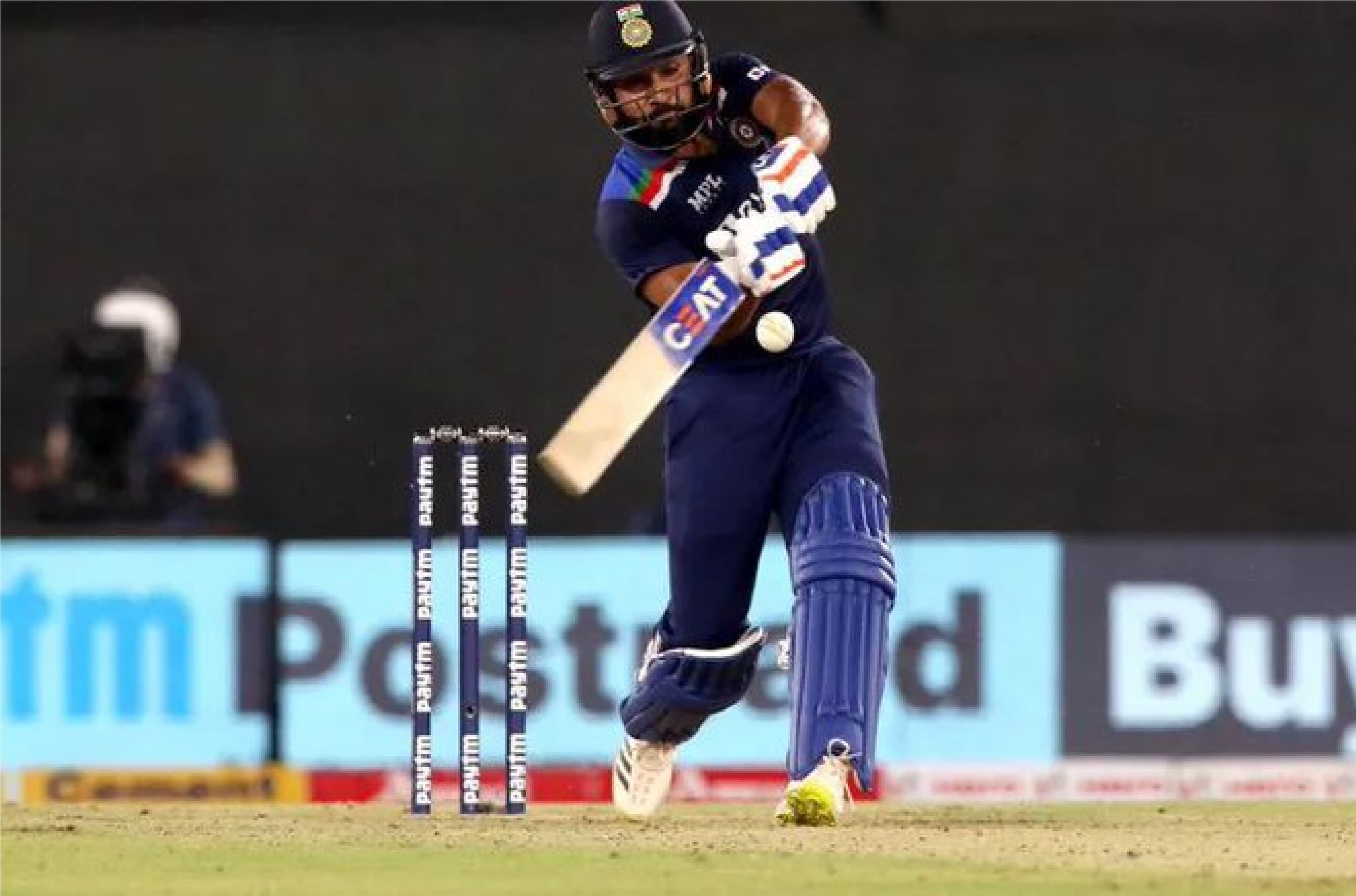 ICC T20 World Cup: फैंस ने स्पेशल केक के साथ मेलबर्न में टीम इंडिया का किया स्वागत, देखें VIDEO