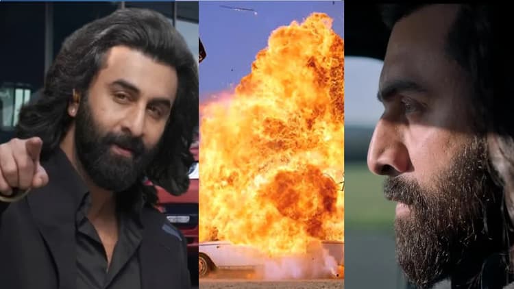 ‘एनिमल’ फिल्म की कामयाबी का रहस्य