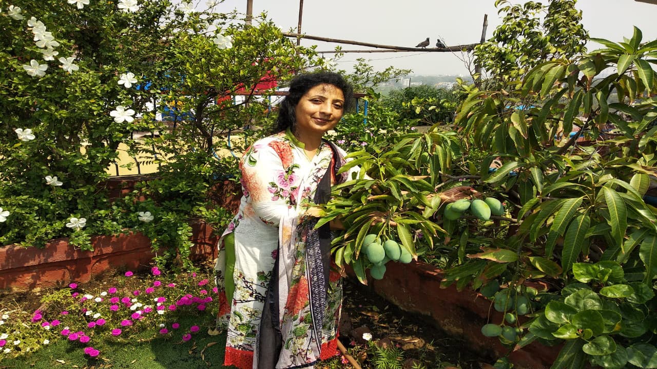 थोड़ी मेहनत कर किचेन गार्डन से फल और हरी सब्जियां उगा रही धनबाद शहर की महिलाएं, बोली- ताजी सब्जियों को खाने का अलग ही आनंद है, देखें Pics