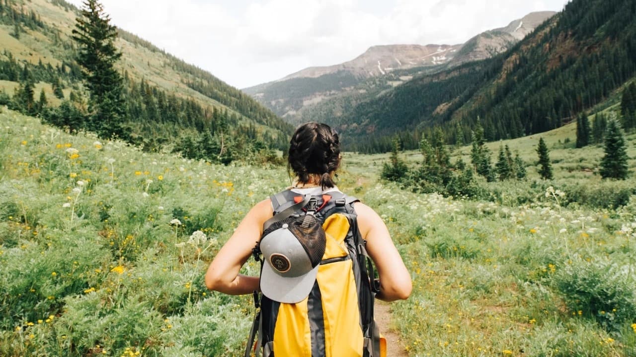 Credit Card Benefits: ट्रैवल क्रेडिट कार्ड से पूरी होगी हर शौक, ऐसे करें इस्तेमाल मिलेगा कई फायदा