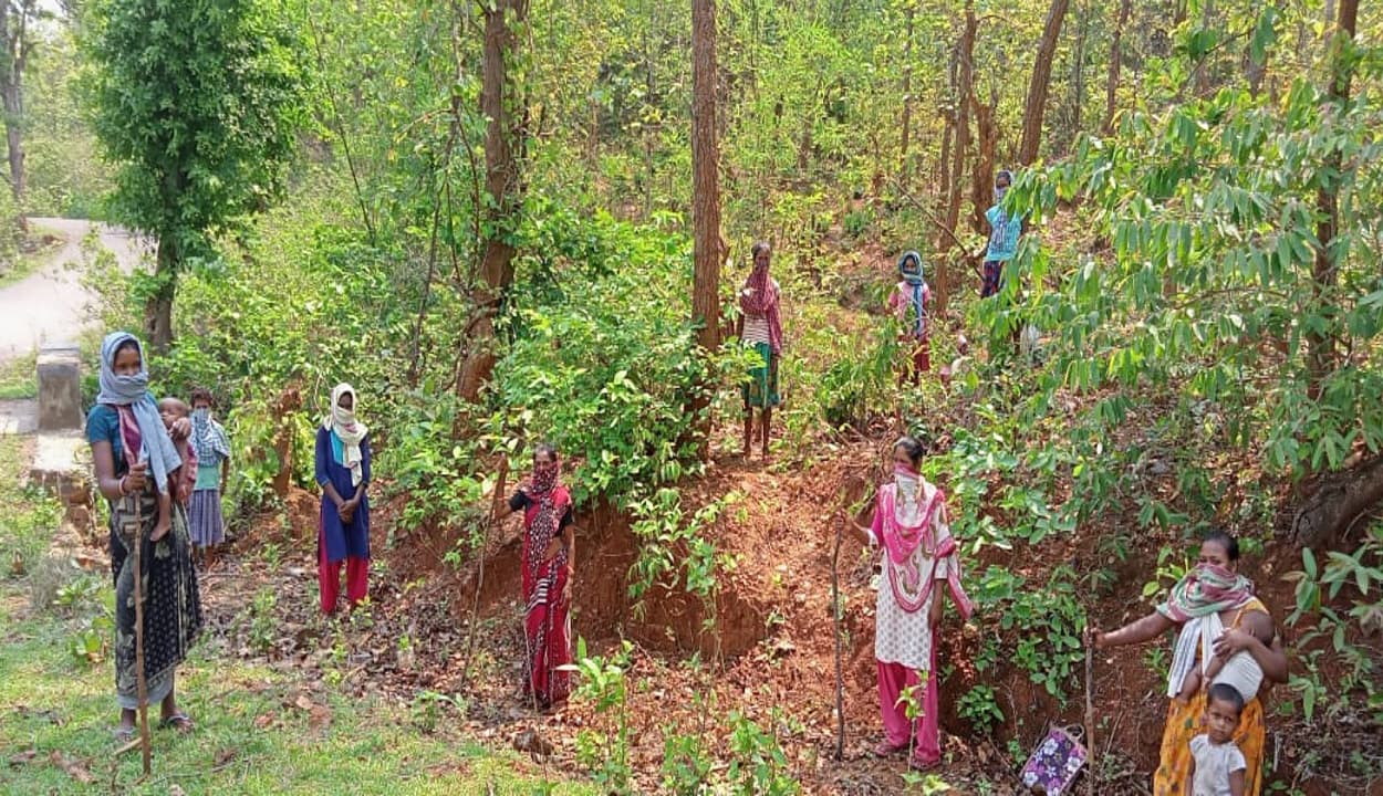 पेड़ों की सुरक्षा में जुटी झारखंड की ग्रामीण महिलाएं, जंगल बचाओ अभियान से पेड़ों की कटाई में आयी कमी