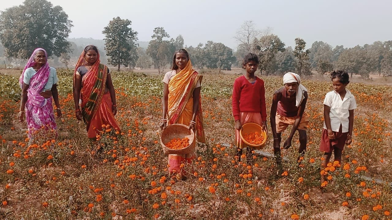 Jharkhand news:फूलों की खेती के सहारे सिमडेगा में सखी मंडल की दीदियां बन रही आत्मनिर्भर,लोगों को मिलेगा रोजगार