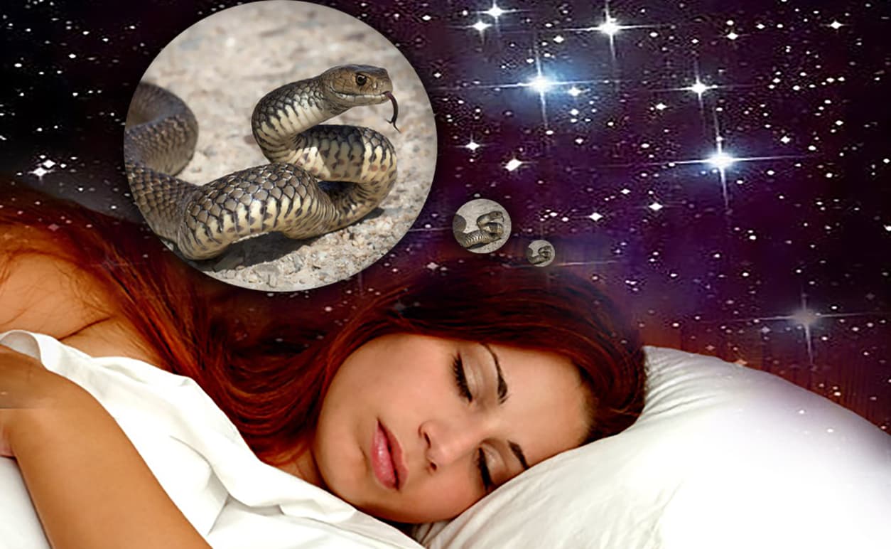 Sapne Me Saap Dekhne Ka Matlab: सपने में सांप दिखे तो जरूर करें ये उपाय, बेहद अशुभ घटनाओं का होता है संकेत