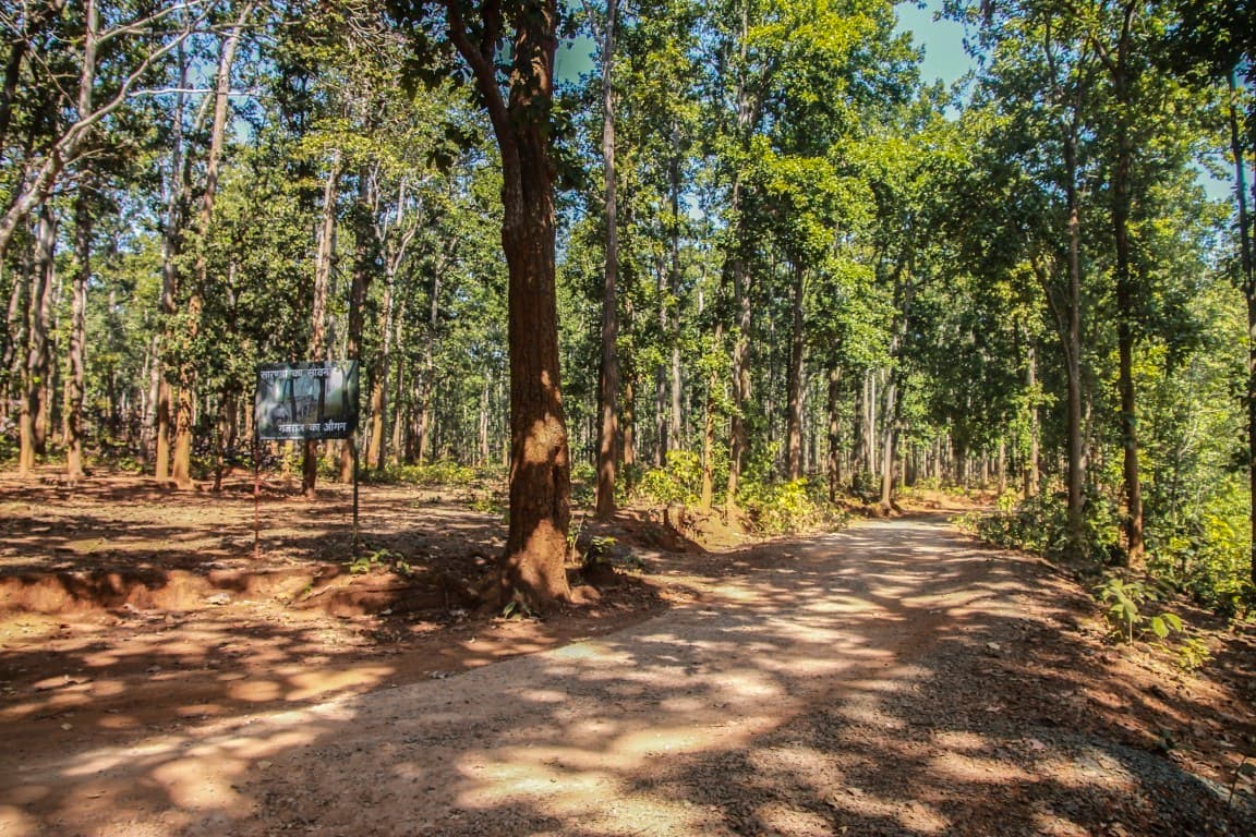 हरियाली बढ़ाइए, जीवन बचाइए