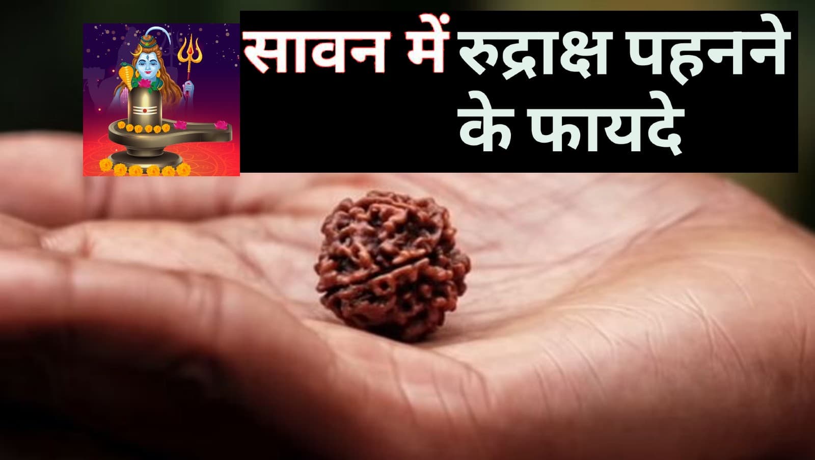 Sawan Rudraksha Benefits: सावन में रुद्राक्ष धारण करना है बहुत ही लाभकारी, बाधाओं से मिलती है मुक्ति