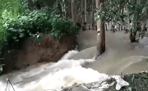 मूसलाधार बारिश का कहर, घोघारी नदी पर बना जमीनदारी बांध टूटा, आधा दर्जन गांवों पर मंडराया बाढ़ का खतरा