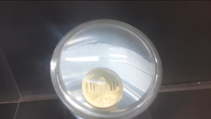 Agra News: सोने के सिक्के पर अंकित है ताजमहल, यूनेस्को ने 2010 में किया था जारी