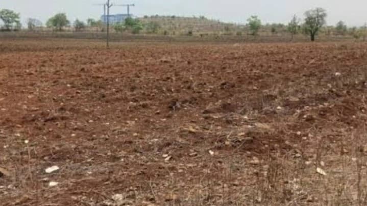 बरेली: ग्राम समाज की भूमि पर कब्जा कराने वाले एसीओ-लेखपाल निलंबित, एफआईआर दर्ज, प्रधान की शिकायत पर कार्रवाई