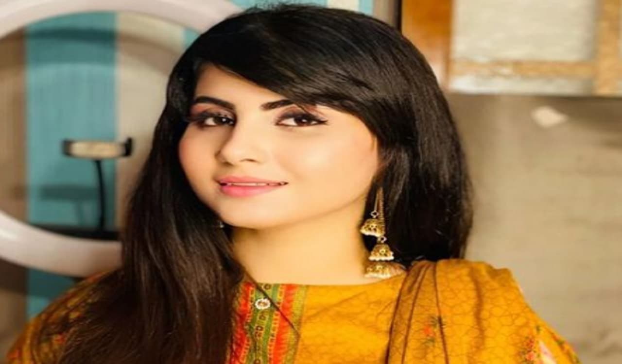 IND vs BAN: पाकिस्तान की इस खूबसूरत बला ने लगाई अलग ही बेट, आज अगर इंडिया हारा तो करेगी 'डिनर डेट'