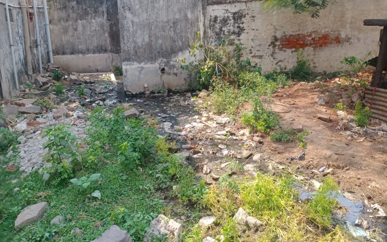 Common Man Issues: चाईबासा के सेनटोला में गंदगी से जहन्नुम हुई जिंदगी, नहीं ले रहा कोई सुध