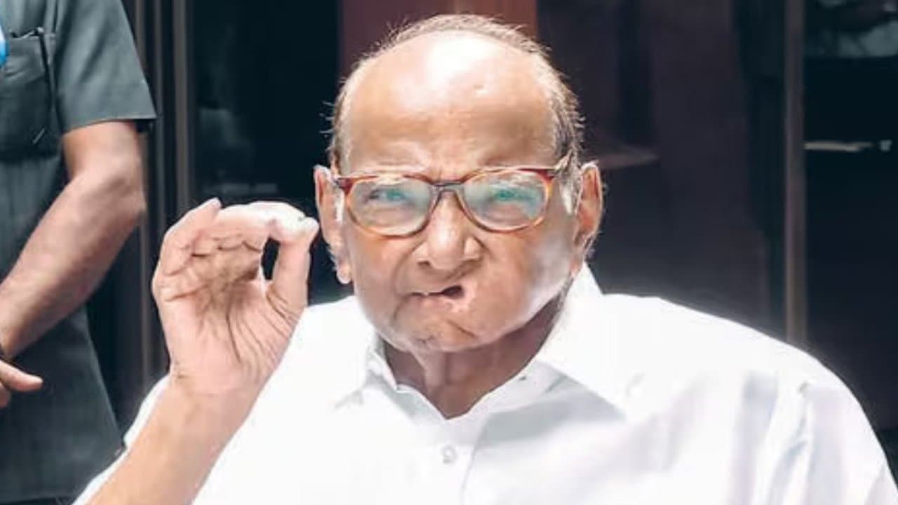 एनसीपी सुप्रीमो शरद पवार ने 'द कश्मीर फाइल' पर कसा तंज, कहा- बहुसंख्यक हमेशा अल्पसंख्यक पर करते हैं हमला