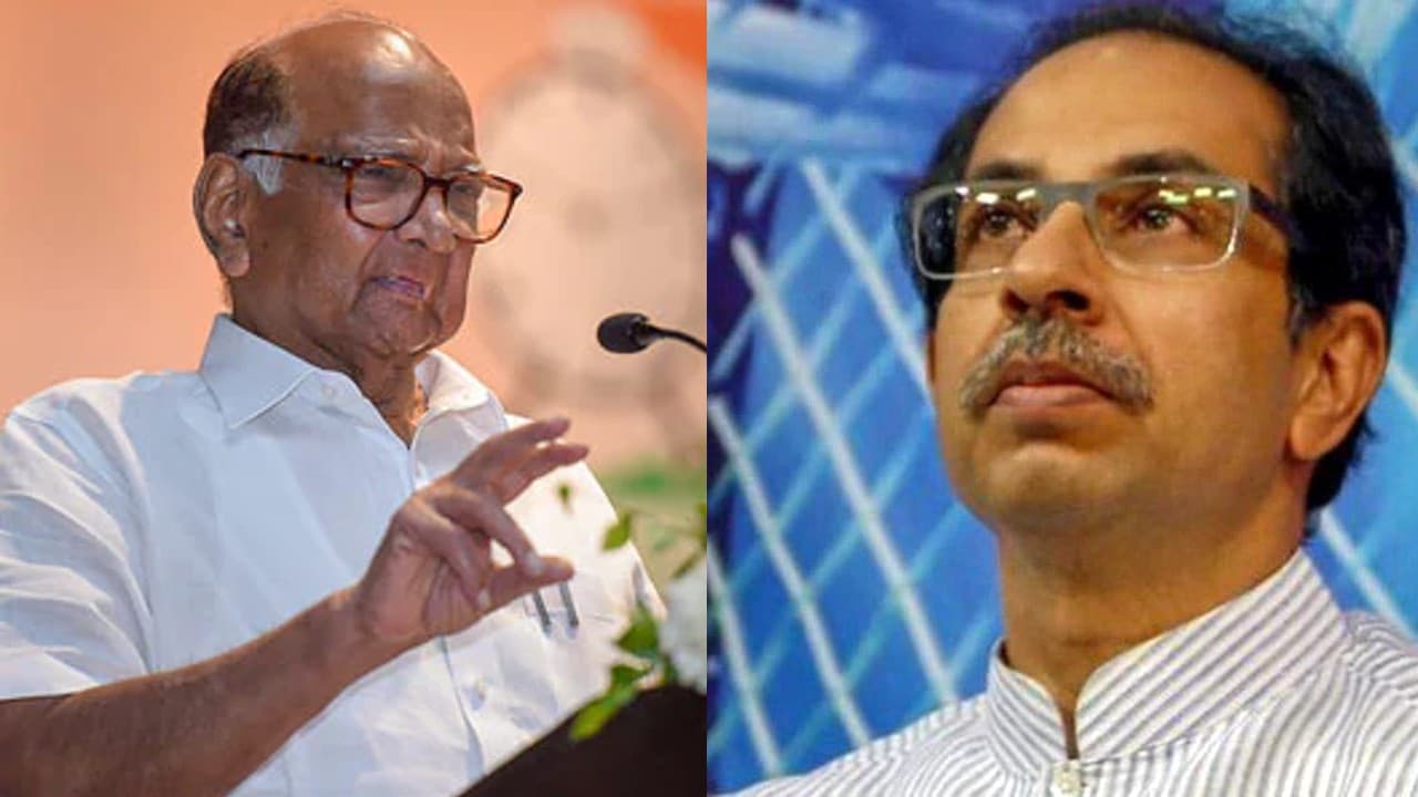 बिहार में नीतीश कुमार का दम देखकर महाराष्ट्र की शिवसेना-NCP में आई जान, शरद पवार भी बना रहे सीक्रेट प्लान