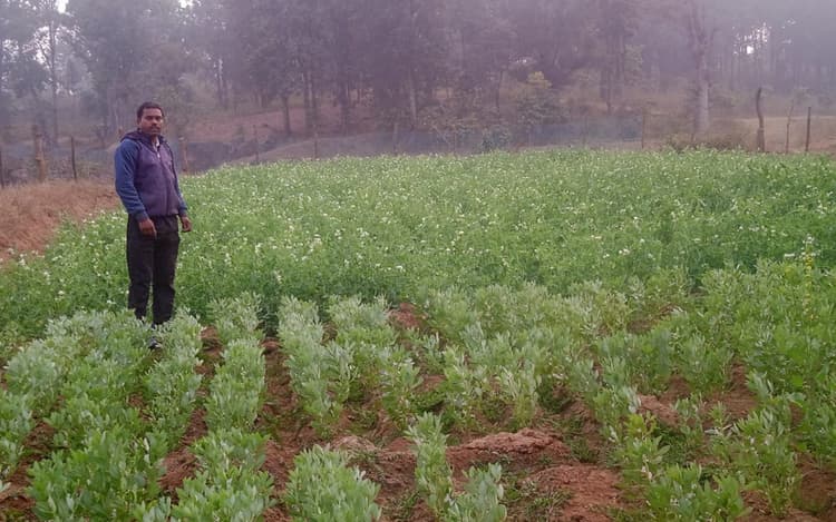 Jharkhand News: बोकारो के झुमरा पहाड़ के युवा किसान क्षेत्र में ला रहे हरियाली, जानें कैसे