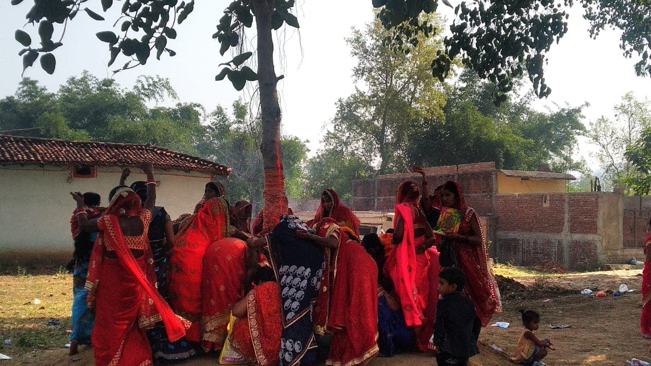 बोधि वृक्ष- रिश्ते निभाना सीखें