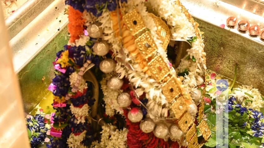 Sawan 2023: काशी विश्वनाथ के ऑनलाइन रुद्राभिषेक का 21 अगस्त को मौका, देने होंगे इतने रुपए, इस तरह कराएं बुकिंग