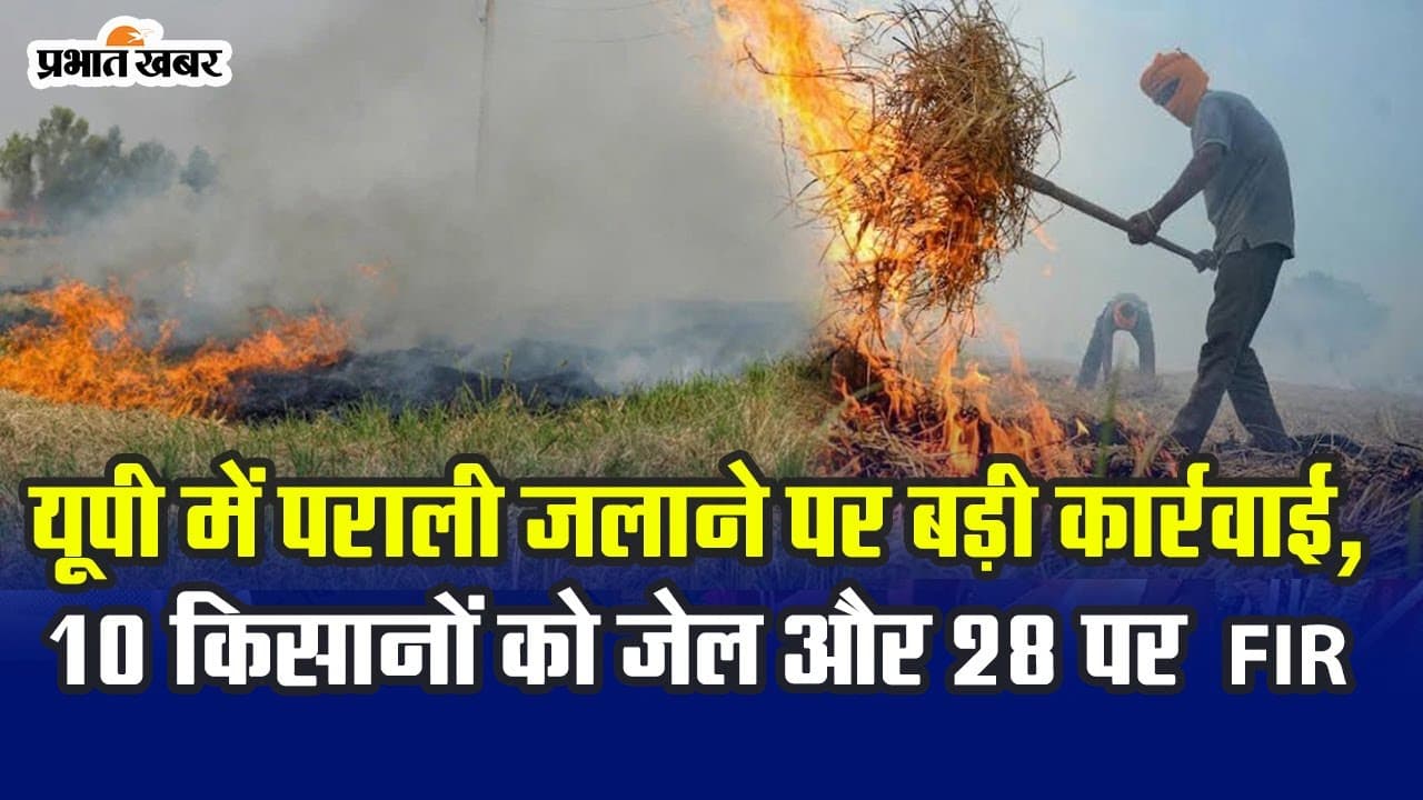UP में पराली जलाने पर बड़ी कार्रवाई, तीन लेखपाल निलंबित, 10 किसानों को जेल और 28 पर FIR दर्ज